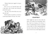 Young David: Shepherd Chapter Book