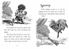 Young David: King Chapter Book