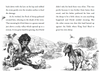 Young David: King Chapter Book