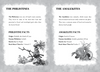 Young David: Warrior Chapter Book