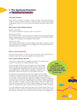 Minno Life Guide: Spiritual Practices